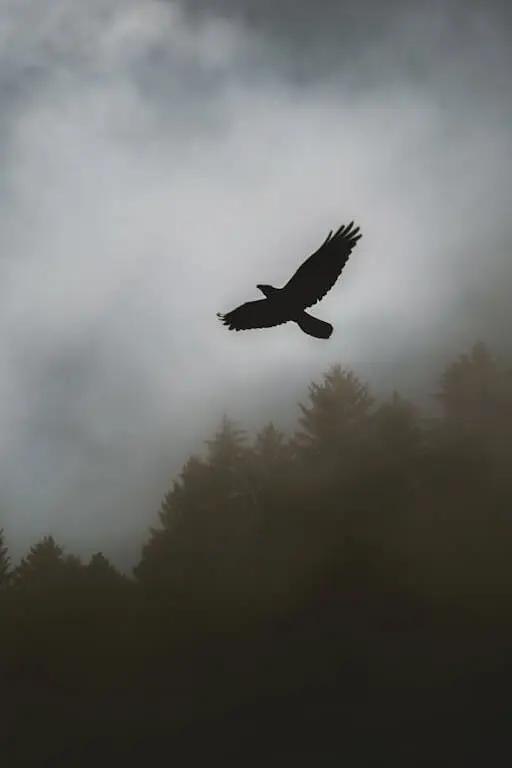 An eagle soaring high, representing operational excellence and freedom from inefficiency.